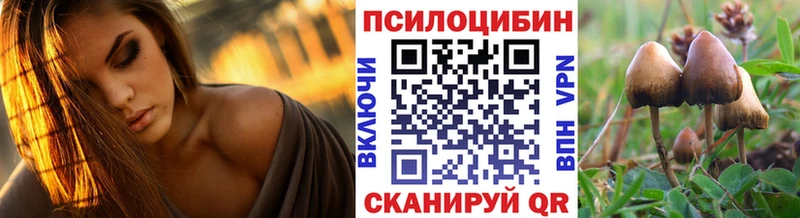 Псилоцибиновые грибы прущие грибы  Купить  Смоленск 